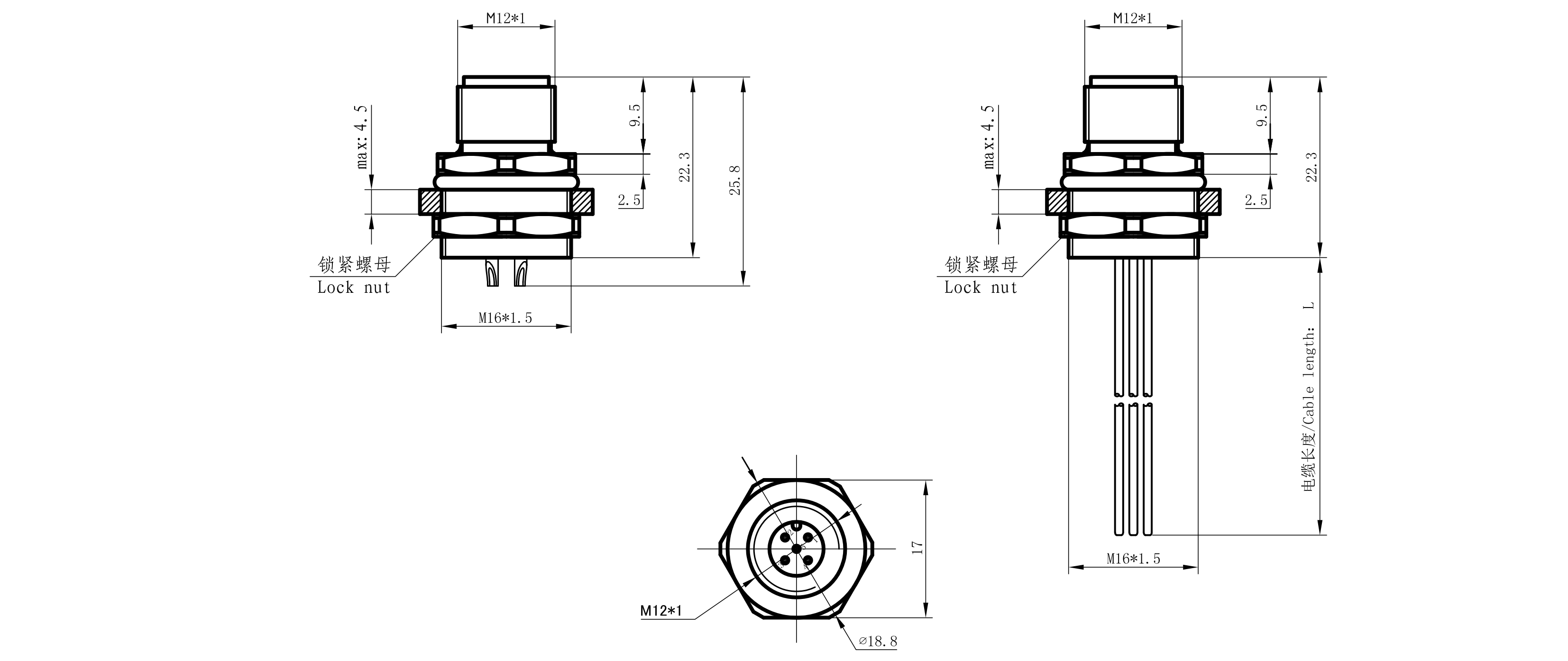 12.LGM12-ZFA B D2_01.png